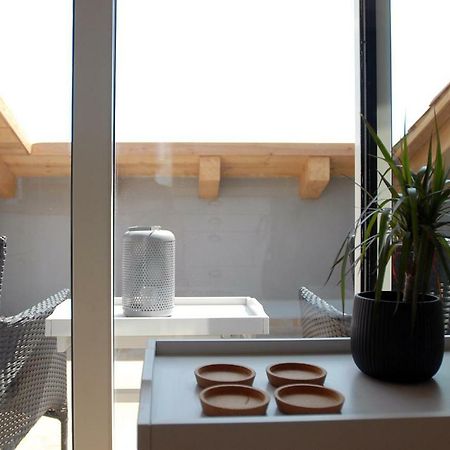 Casa Colloredo Free Parking Rovinj Dış mekan fotoğraf